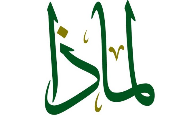 لماذا نفعل؟ولماذا لا نفعل؟