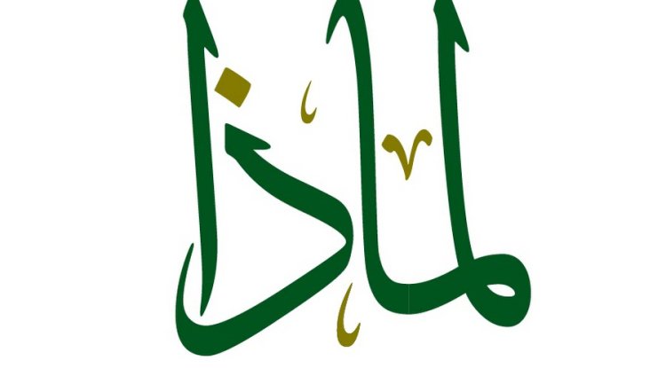 لماذا نفعل؟ولماذا لا نفعل؟