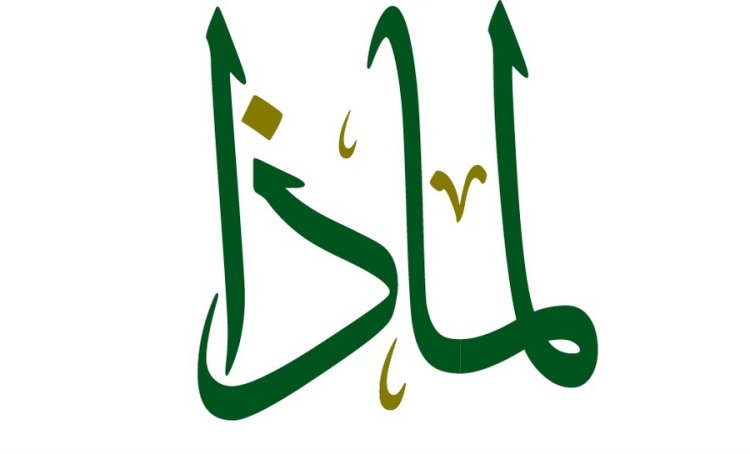 لماذا نفعل؟ولماذا لا نفعل؟